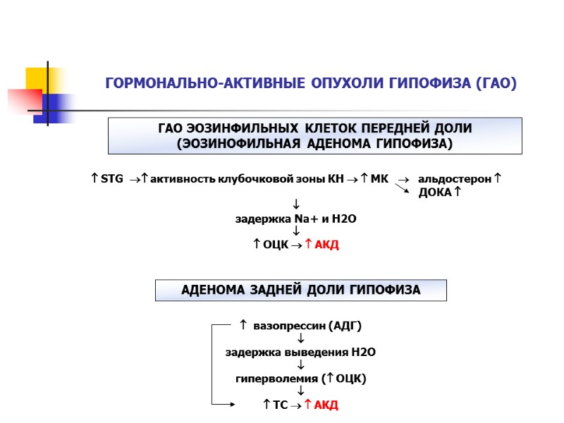 ГОРМОНАЛЬНО-АКТИВНЫЕ ОПУХОЛИ ГИПОФИЗА (ГАО) ГАО ЭОЗИНФИЛЬНЫХ КЛЕТОК ПЕРЕДНЕЙ ДОЛИ (ЭОЗИНОФИЛЬНАЯ АДЕНОМА ГИПОФИЗА)  STG